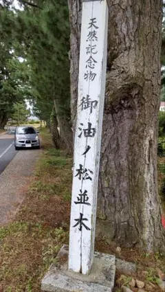 t.kagami3887様 リクエスト 2点 まとめ商品