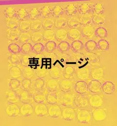 KAPi様専用