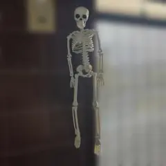 ハロウィン　スカル　骸骨　骨　ボーン　人形　ガイコツ