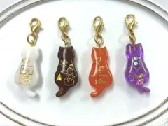 猫　チャーム　訳アリ