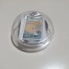 SEVENTEEN パズチ アクキー　　 THE 8　ディエイト