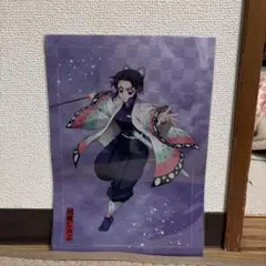 鬼滅の刃　胡蝶しのぶ　栗花落カナヲ　クリアファイルセット　ANIPLEX