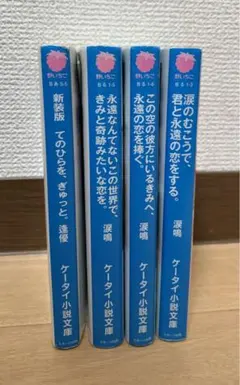 野いちご文庫 ブルーラベル4冊セット