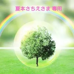 夏本さちえ様 リクエスト 2点 まとめ商品