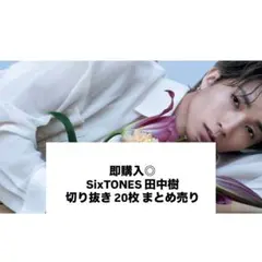 即購入◎ SixTONES 田中樹 切り抜き まとめ売り 20枚