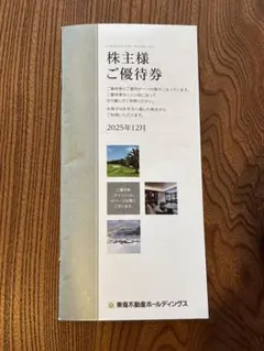 株主優待券 東急不動産ホールディングス【500株〜】【最新　未使用】