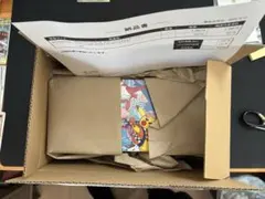【新品未開封】スペシャルボックス ポケモンセンターフクオカ BOXローダー付き