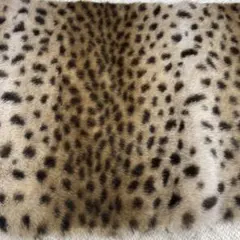 Item thumbnail for item b8360767-9d6c-4938-8dbc-121786f98976