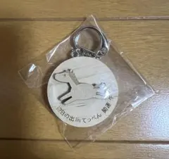 Item thumbnail for item 88bafdbe-b952-4977-bcd7-54e3c5d6bfcf