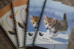 Item thumbnail for item 7dfdcbf8-9c94-4892-8677-0f28fb319214