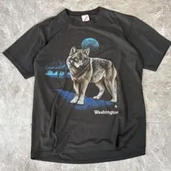 Item thumbnail for item 47467301-58fa-41d6-a057-25a69678ac08