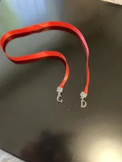 クリスチャン　ディオール　リボン