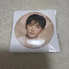 &TEAM HARUA Mark on You 缶バッジ
