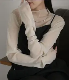 ラメタートルシアートップス