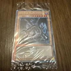 レッドアイズブラックドラゴン