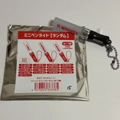 ウルフドッグス名古屋　宮浦健人オリジナルラベル缶　他ミニペンライト　キーホルダー どデカいラバーキーホルダー（チェーンつき） | ウルフドッグス名古屋