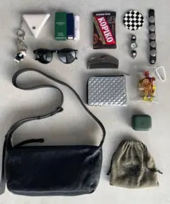 ear PAPILLONNER ボックスショルダーバッグ 室内お試しのみ