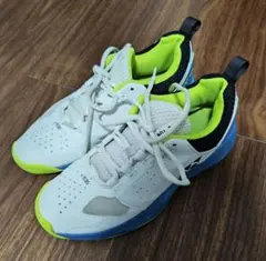 Item thumbnail for item 4937a4a8-26f2-4c54-927f-c9e2b8c90456