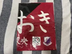 ヴィッセル神戸 五百城茉央 コラボ 【30周年記念】リバーシブル