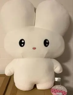 beco+81 しりみみうさぎ もっちるBIGぬいぐるみ - メルカリ