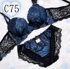 Item thumbnail for item a8b40fe7-3b69-4686-956f-a5ce5f014123