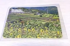 Item thumbnail for item ff7255fd-4ccf-49ca-877b-2c9d17369626