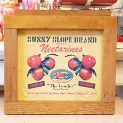 Item thumbnail for item 50c33929-3fa9-469e-944f-cdbcf6196b79