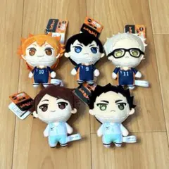 ぷちっしゅ ハイキュー