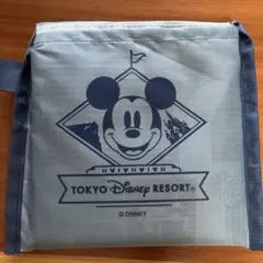 Item thumbnail for item fe370581-df0d-4d65-ab59-e58249c46c40