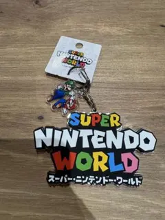 USJ限定 スーパーニンテンドーワールド　ロゴキーホルダー　マリオ　ルイージ