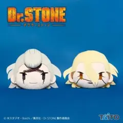2025年最新】dr.stone フェイスクッション ゼノ&スタンリーの