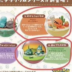 ポケモン テラリウムコレクション のんびりなひととき 新品 2種セット