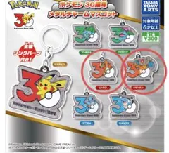ポケモン 30周年 メタルチャームマスコット　ヒトカゲ　リザードン　2個セット