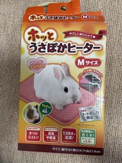 Item thumbnail for item 393d6b53-5e5e-46b5-a89f-b6cc098fce65