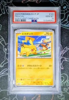 2025年最新】ピカチュウ psa10 スカーレットの人気アイテム