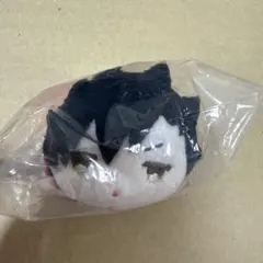 ハイキュー もちマス もちもちマスコット ミニ 黒尾鉄朗 ユニフォーム
