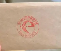 大阪関西万博 TEAM EXPO 2025 STEAMカード