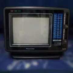 パナソニック ブラウン管 テレビ TH-29ZS1 レトロ ゲーム 29インチ