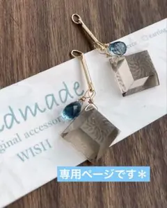 Gちゃん様専用ページです୨୧