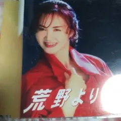 中島みゆき 1989 コンサート 野ウサギのように チケット半券 - メルカリ
