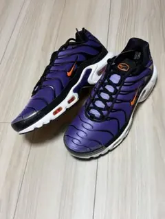 Nike Air Max Plus スニーカー 紫黒