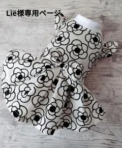 Liё様専用ページ