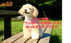 犬服 冬服 ヒートウエア 防寒ウエア お散歩ウエア 小型犬 暖かい お散歩グッズ