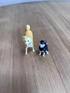 アニア　柴犬・豆柴
