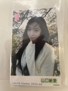 Item thumbnail for item 806878d3-faf0-4a77-831e-6cdf5ca65964