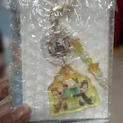 ディズニーリゾート サマーキーチェーン シークレット　チップとデール