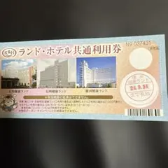 石和駿河信州健康ランド 10枚綴回数券(写真は8枚とありますが、10枚綴です) 駿河健康ランド 石和健康ランド 信州健康ランド 回数券2枚 有効期限