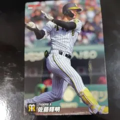 Item thumbnail for item 42c6b218-7ed2-4d0b-9a64-5ae91ba45f0e