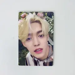 SEVENTEEN セブチ トレカ エスクプス HEAVEN