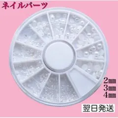 진주 화이트 네일 부품 \네일 팁